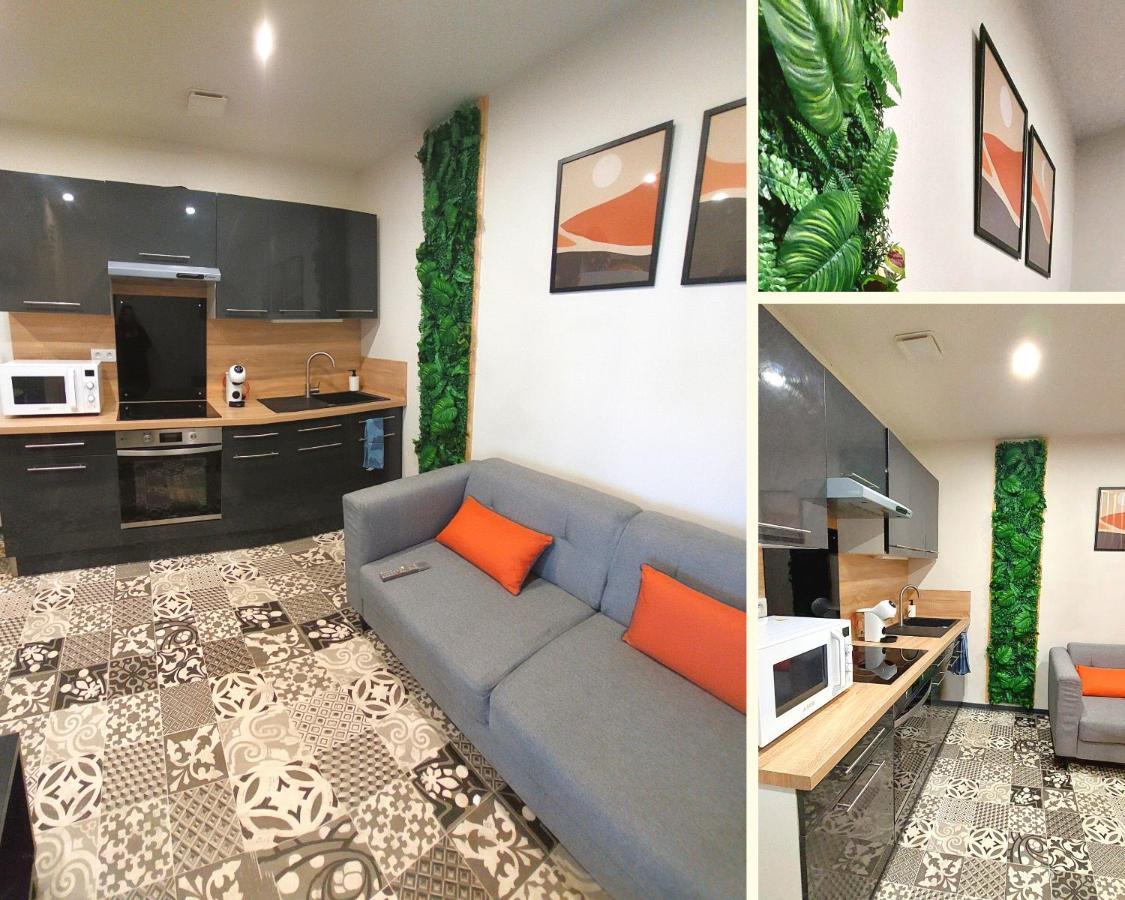Artgrey * Ideal Pro * Roanne Secteur Gare Et Rue Pietonnes Екстериор снимка