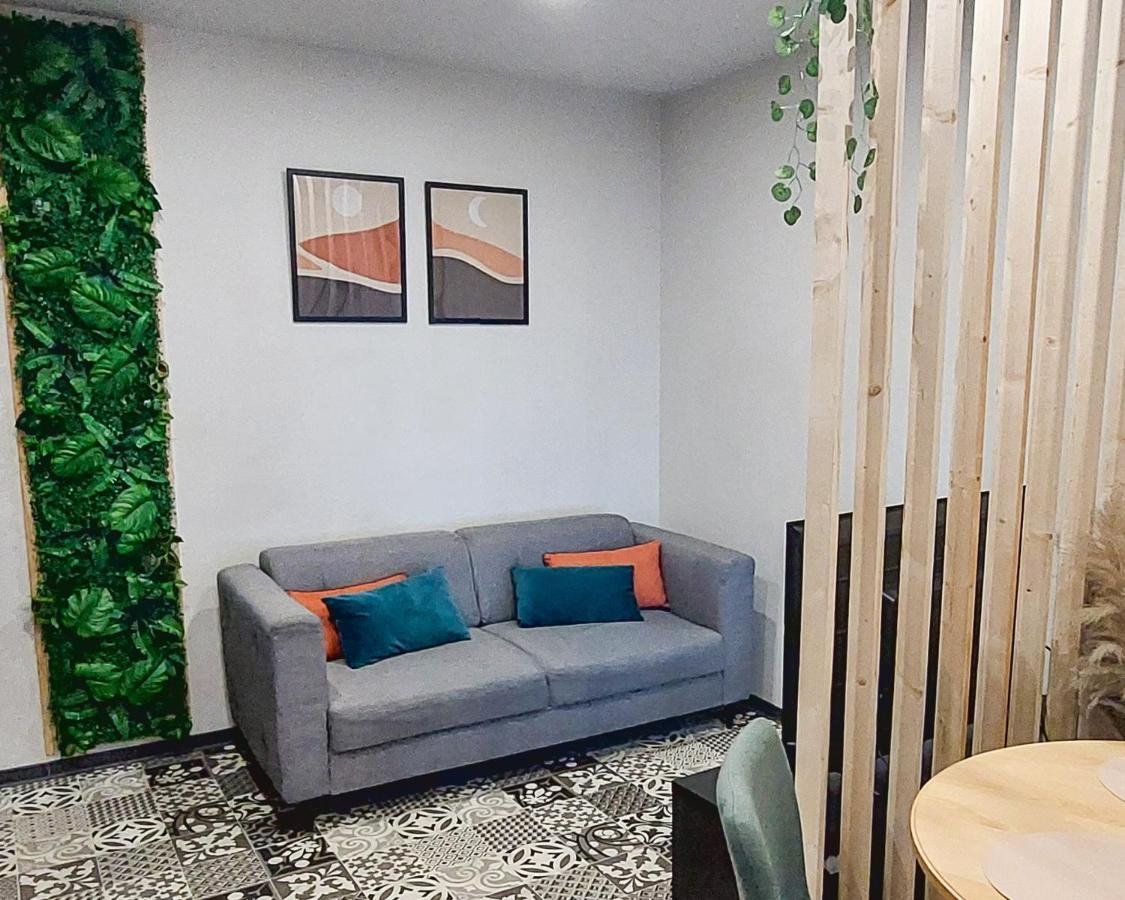 Artgrey * Ideal Pro * Roanne Secteur Gare Et Rue Pietonnes Екстериор снимка